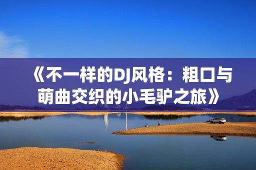 《不一样的DJ风格：粗口与萌曲交织的小毛驴之旅》