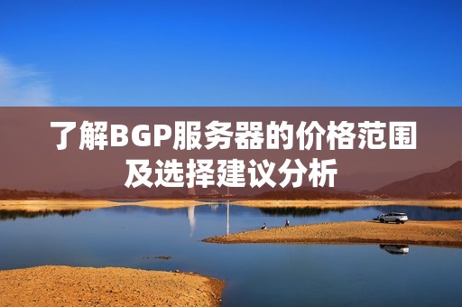 了解BGP服务器的价格范围及选择建议分析