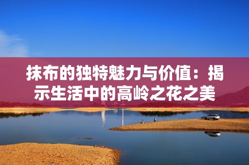 抹布的独特魅力与价值：揭示生活中的高岭之花之美