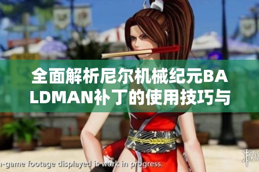 全面解析尼尔机械纪元BALDMAN补丁的使用技巧与步骤