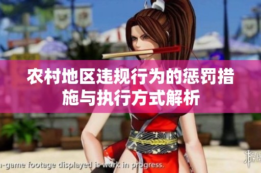 农村地区违规行为的惩罚措施与执行方式解析