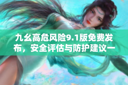 九幺高危风险9.1版免费发布，安全评估与防护建议一网打尽