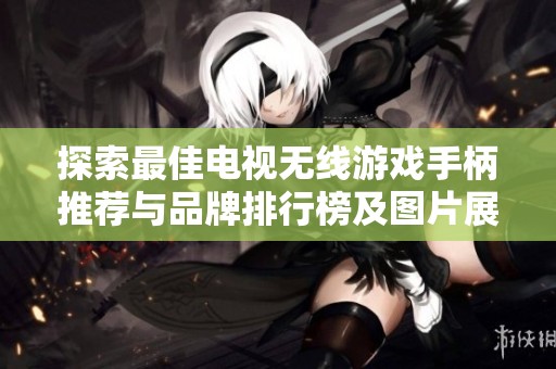 探索最佳电视无线游戏手柄推荐与品牌排行榜及图片展示