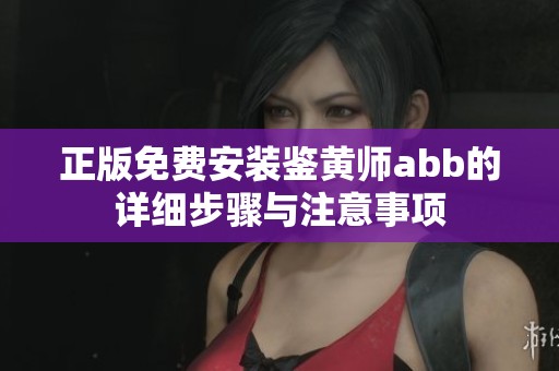 正版免费安装鉴黄师abb的详细步骤与注意事项