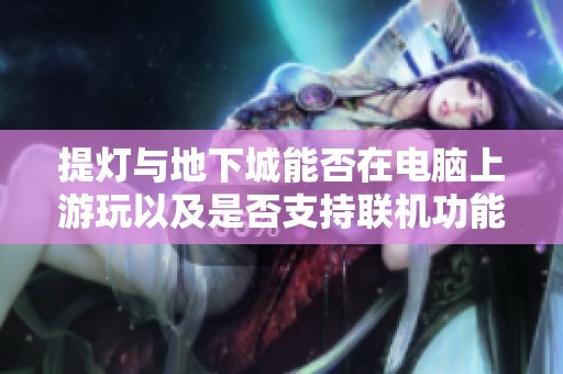 提灯与地下城能否在电脑上游玩以及是否支持联机功能的探讨
