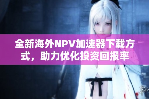 全新海外NPV加速器下载方式，助力优化投资回报率