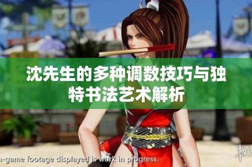 沈先生的多种调数技巧与独特书法艺术解析