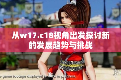 从w17.c18视角出发探讨新的发展趋势与挑战