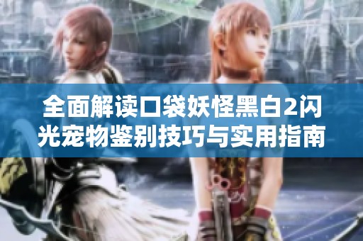 全面解读口袋妖怪黑白2闪光宠物鉴别技巧与实用指南