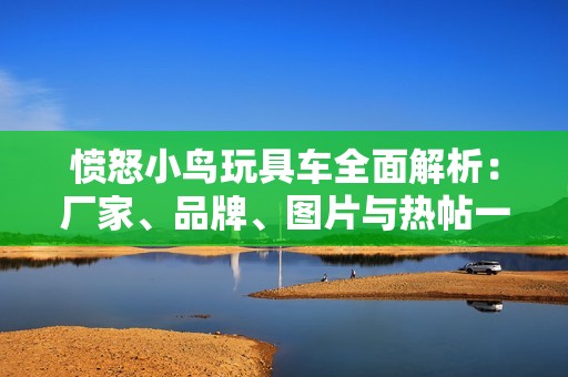 愤怒小鸟玩具车全面解析：厂家、品牌、图片与热帖一网打尽