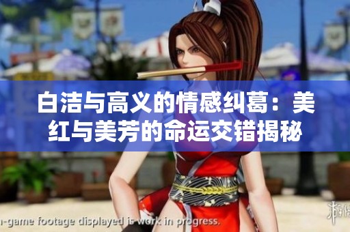 白洁与高义的情感纠葛：美红与美芳的命运交错揭秘